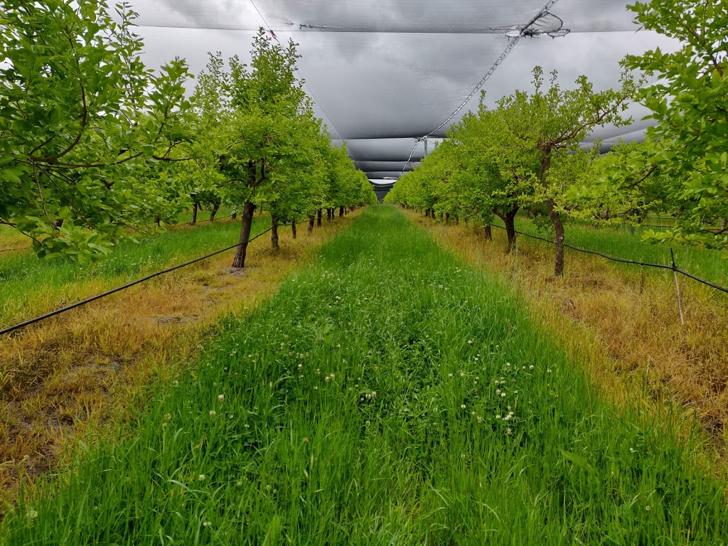 Cedar Creek Orchard |  | 269 Mulhollands Rd, Thirlmere NSW 2572, Australia | 0246818457 OR +61 2 4681 8457