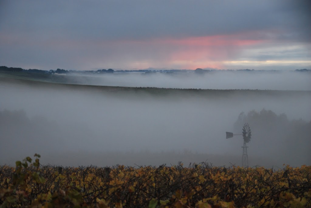 Newtons Ridge Estate Cellar Door / Wine@Tillys | 1170 Cooriemungle Rd, Cooriemungle VIC 3268, Australia | Phone: 0438 985 442