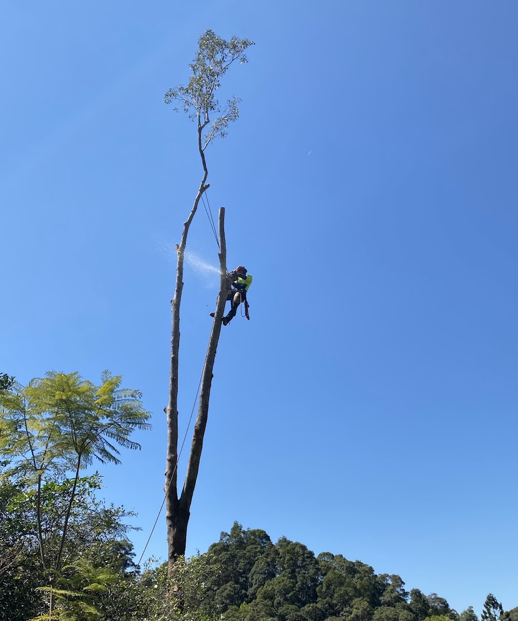 James Godfrey Arborist Far South Coast | 65 Jellat Way, Kalaru NSW 2550, Australia | Phone: 0490 874 272