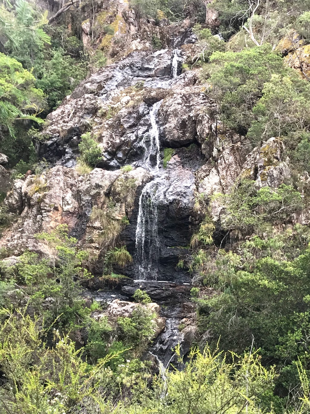 Spring Creek Falls |  | Caves Rd, Buchan VIC 3885, Australia | 131963 OR +61 131963