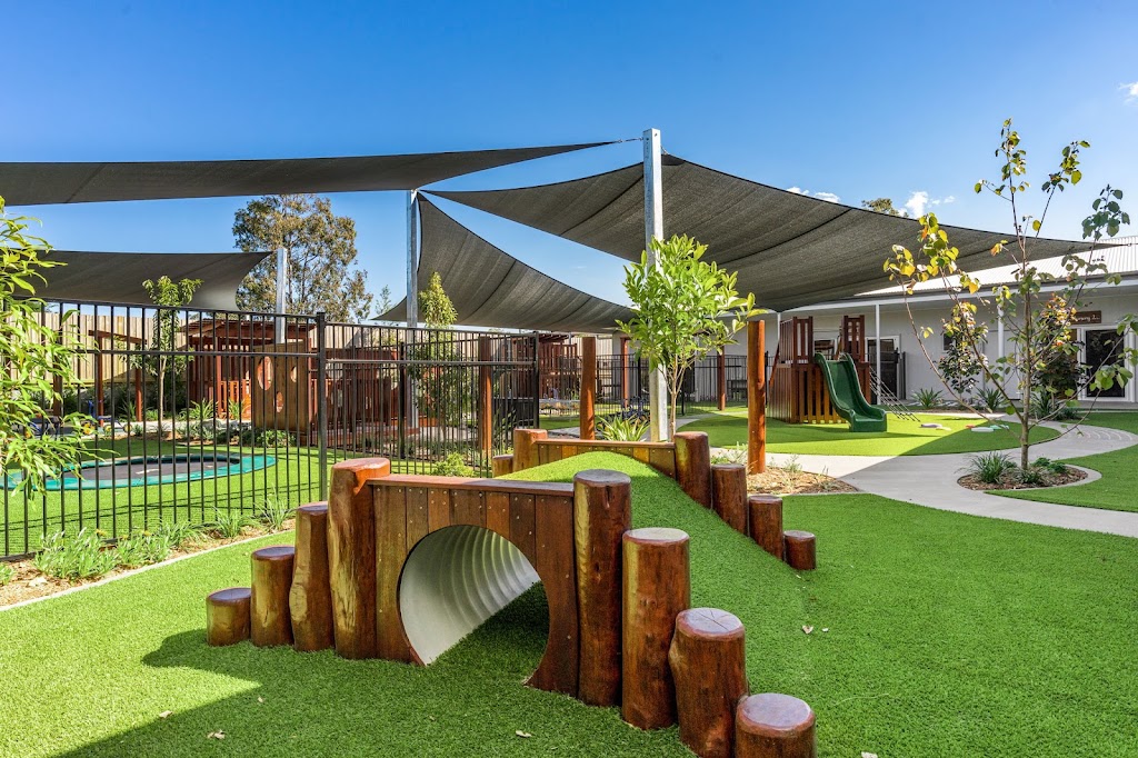 Curiosity Tree Burpengary | 43-45 Rowley Rd, Burpengary QLD 4505, Australia | Phone: (07) 5222 0208