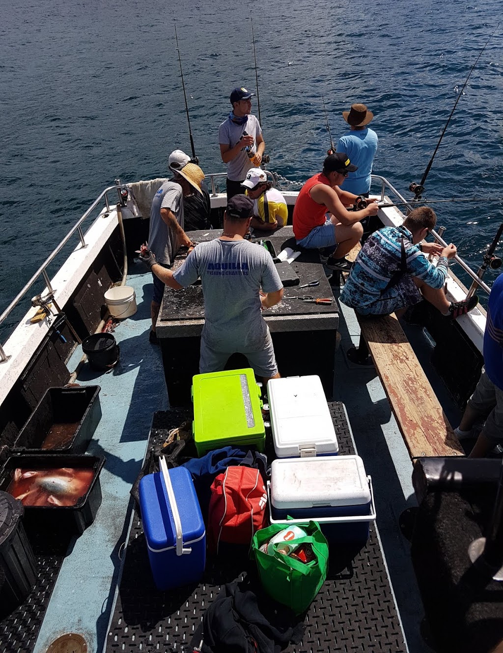 Aquilla Fishing Charters | Endeavour Dr, Wollongong NSW 2500, Australia | Phone: 0414 615 146