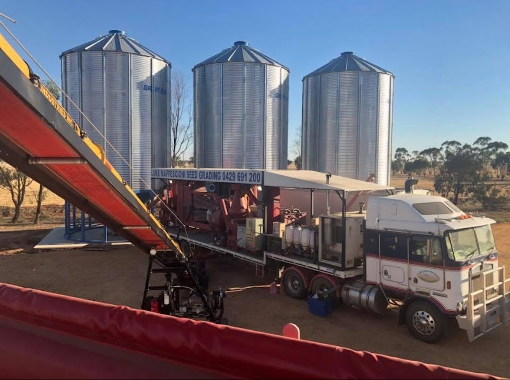 Luke Maffescioni Seed Grading | 25 McMahon St, St Arnaud VIC 3478, Australia | Phone: 0429 691 200