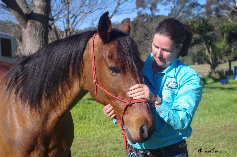 Equine Miracle | 15 Sutherland Dr, North Nowra NSW 2541, Australia | Phone: 0431 387 787
