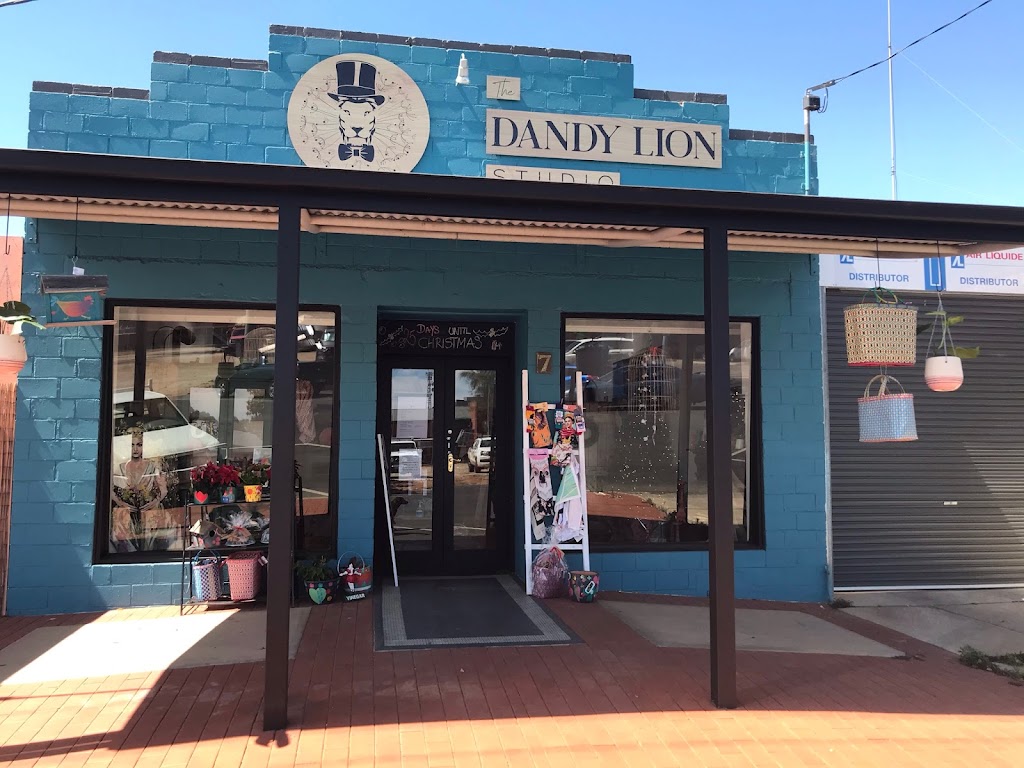 The Dandy Lion Studio | 7 Rutherford St, Swan Hill VIC 3585, Australia | Phone: 0493 686 549