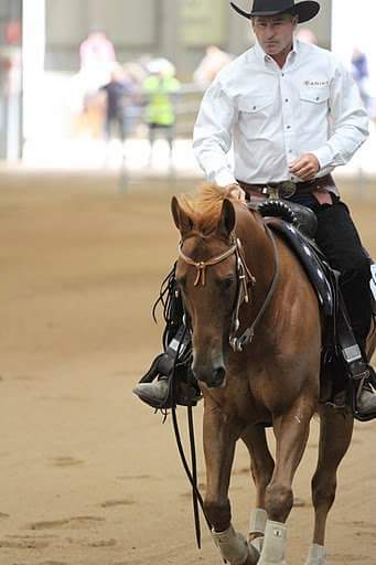 Mark Jones Training Stables | 420 Tschampions Rd, Macclesfield VIC 3782, Australia | Phone: 0448 001 547