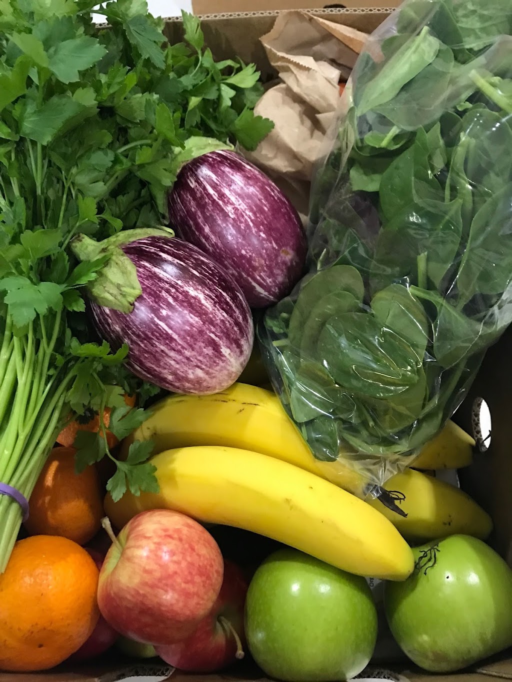 Rosemary Acre Organics | 683 Bestmann Rd, Ningi QLD 4511, Australia | Phone: 0490 514 703