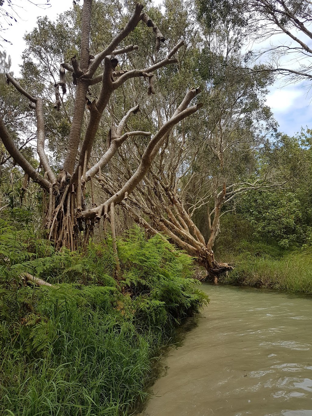 Great Sandy National Park | Cooloola QLD 4581, Australia | Phone: 13 74 68