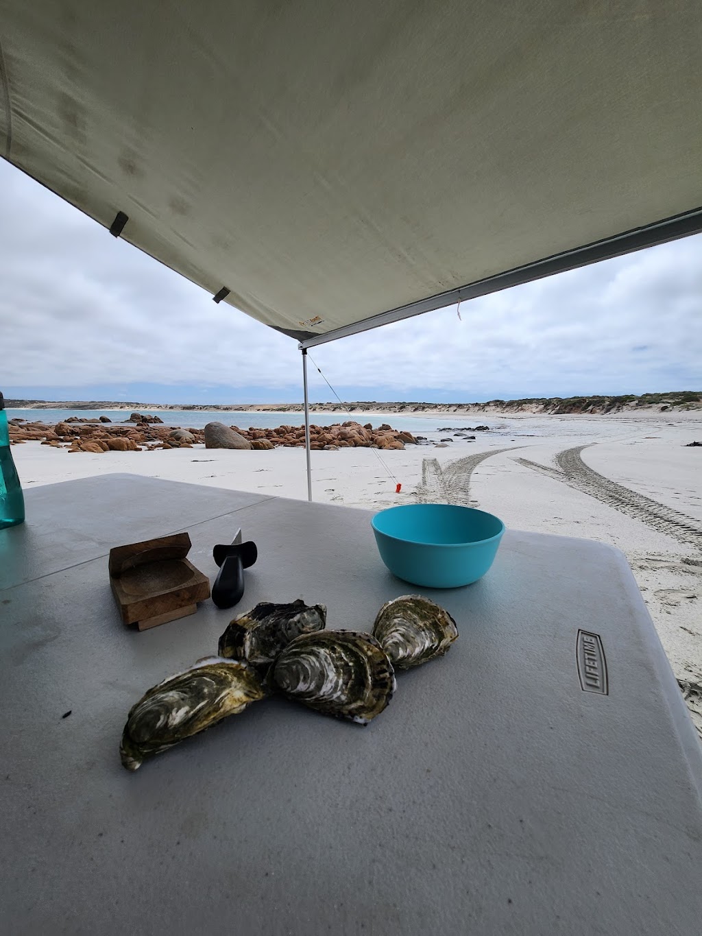 Smoky Bay Seafoods | 3 Anchor Dr, Smoky Bay SA 5680, Australia | Phone: 0439 833 111