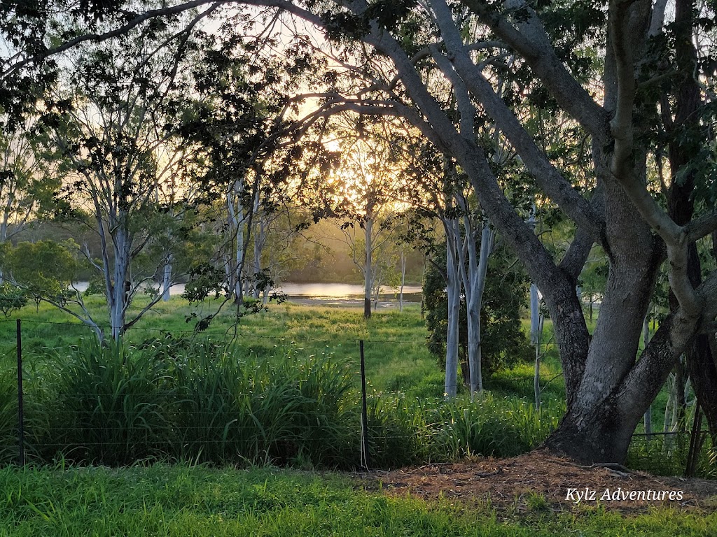 Bom Bom State Forest Campground | Bom Bom NSW 2460, Australia | Phone: (02) 9872 0111