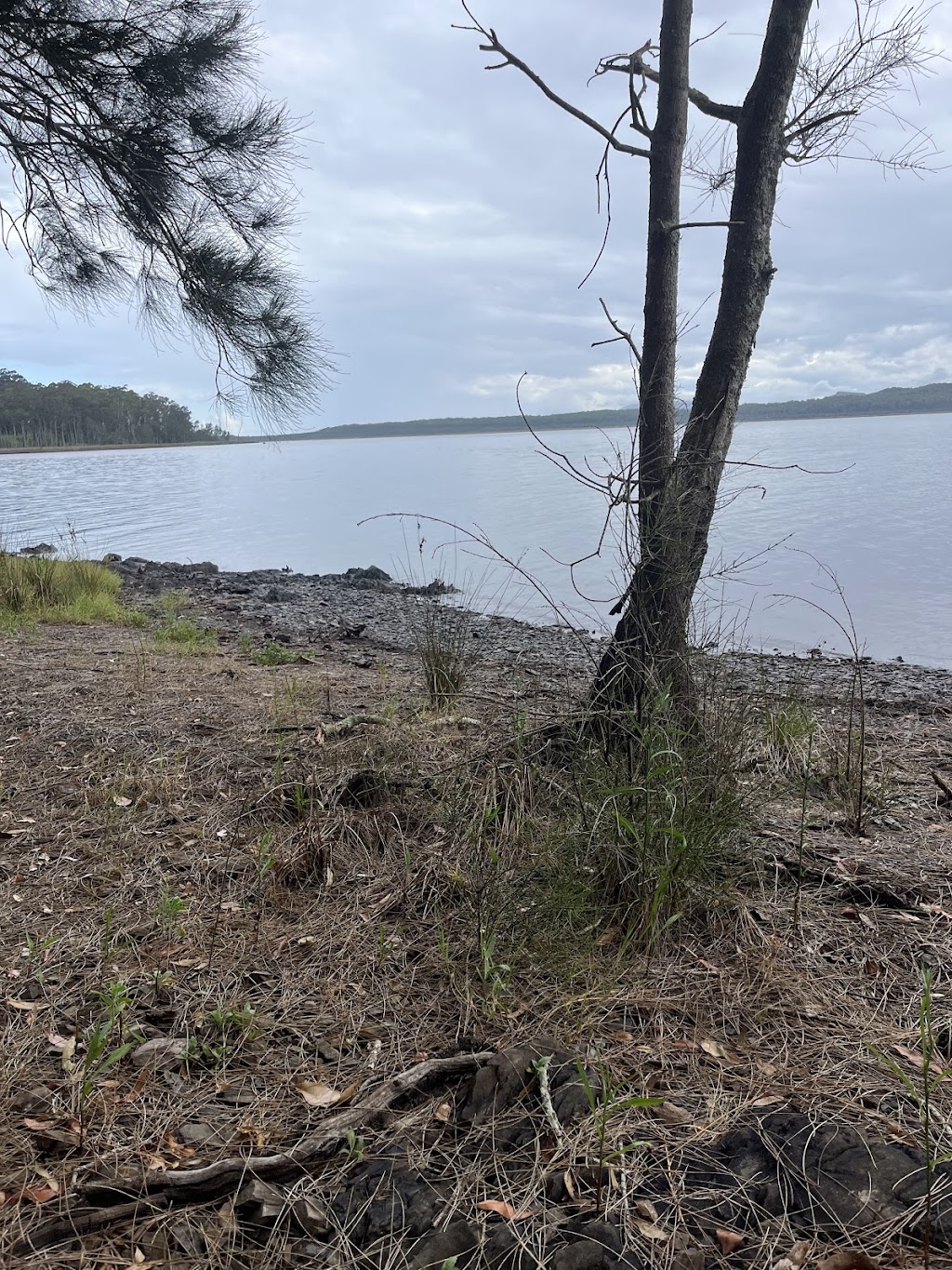 The kayak co. | Ocean Dr, Lake Cathie NSW 2445, Australia | Phone: 0437 214 599