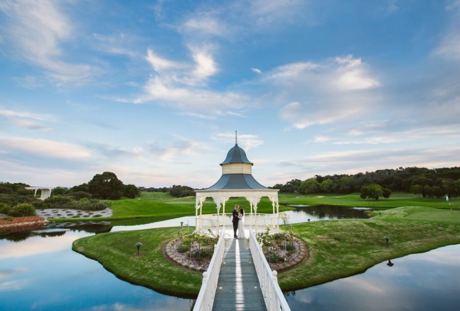 Mornington Peninsula Winery Tours - Watson The Grapevine | McLaren Ct, Rosebud VIC 3939, Australia | Phone: 0432 603 951