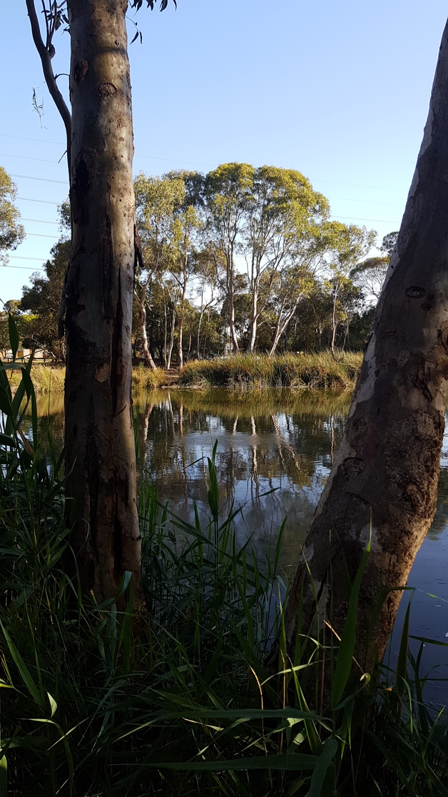 Myall Boulevard Reserve | park | LOT 76 Myall Blvd, Salisbury SA 5108, Australia