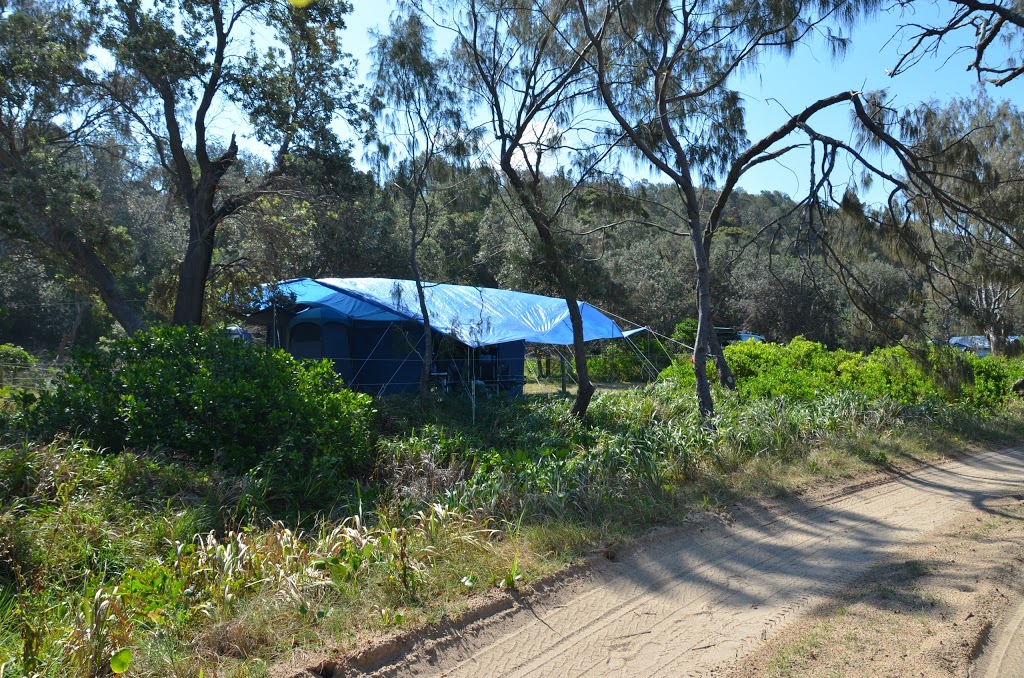 Pebbly Beach Campground | Yuraygir National Park, Diggers Camp NSW 2462, Australia | Phone: 1300 072 757