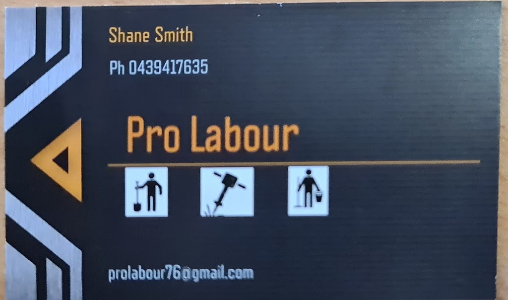 Pro Labour. Labour Hire | 14 Gray Ave, Mount Warrigal NSW 2528, Australia | Phone: 0439 417 635