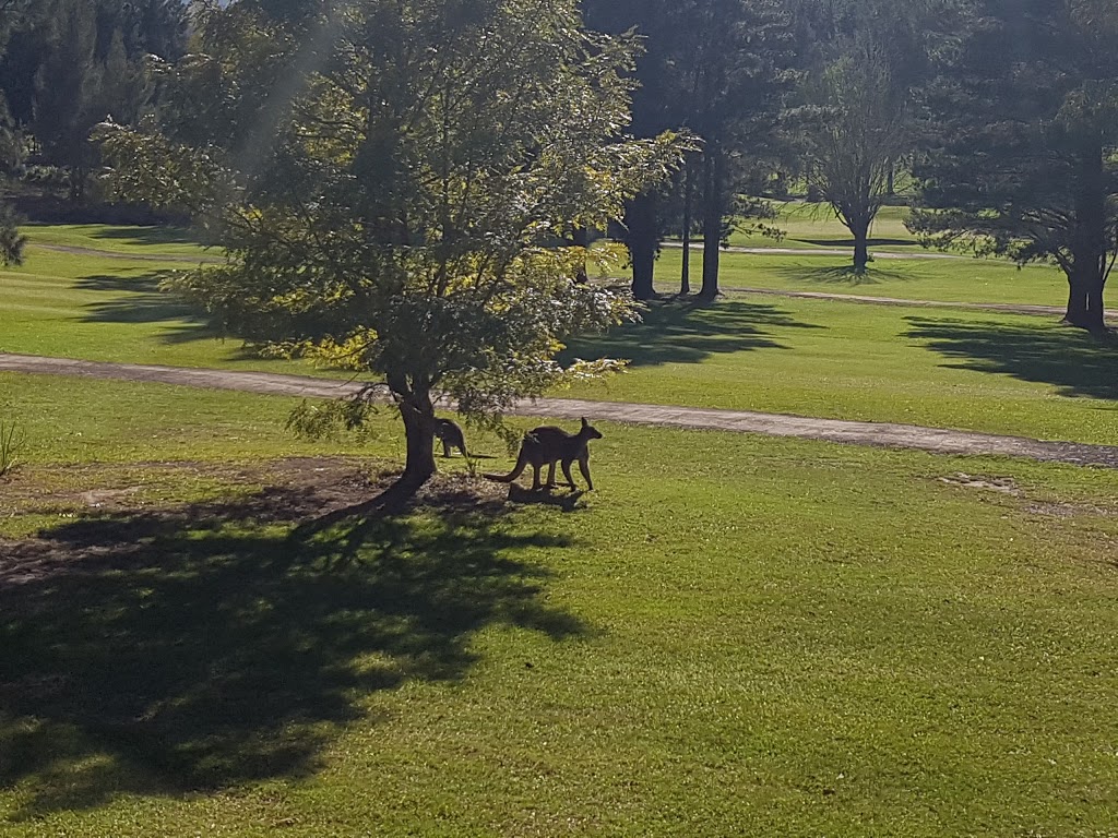 Caddyshack Cabin @ Kangaroo Valley Golf & Country Resort | Unit 23/390 Mount Scanzi Rd, Kangaroo Valley NSW 2577, Australia | Phone: (02) 8840 2852