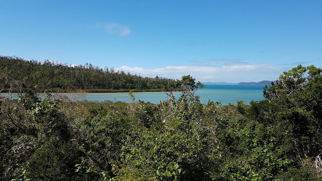 Coral beach walking track | Shute Harbour QLD 4802, Australia | Phone: 0481 820 444