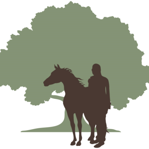 Holistic Equine World | 352 Nine Mile Rd, Rushworth VIC 3612, Australia | Phone: 0439 862 088