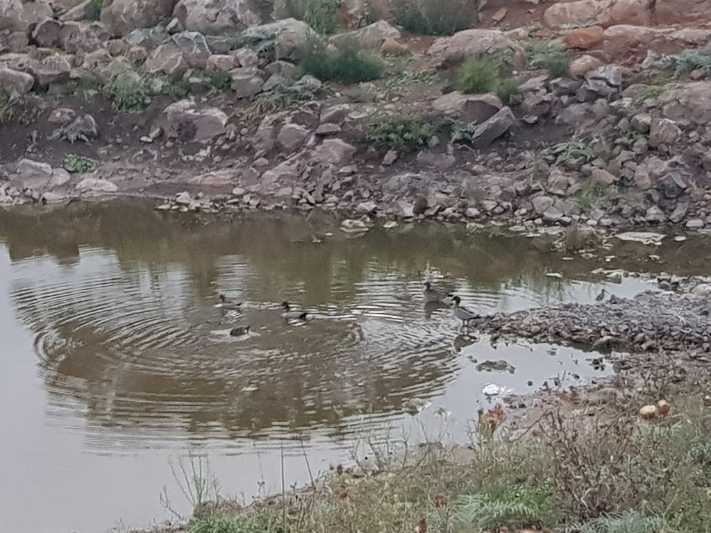 Findon Creek Pond | Wollert VIC 3750, Australia