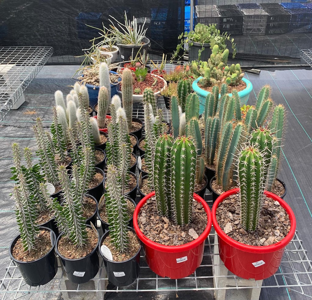 Ozzy Nursery | 173 New Beith Rd, Greenbank QLD 4124, Australia | Phone: 0411 862 014