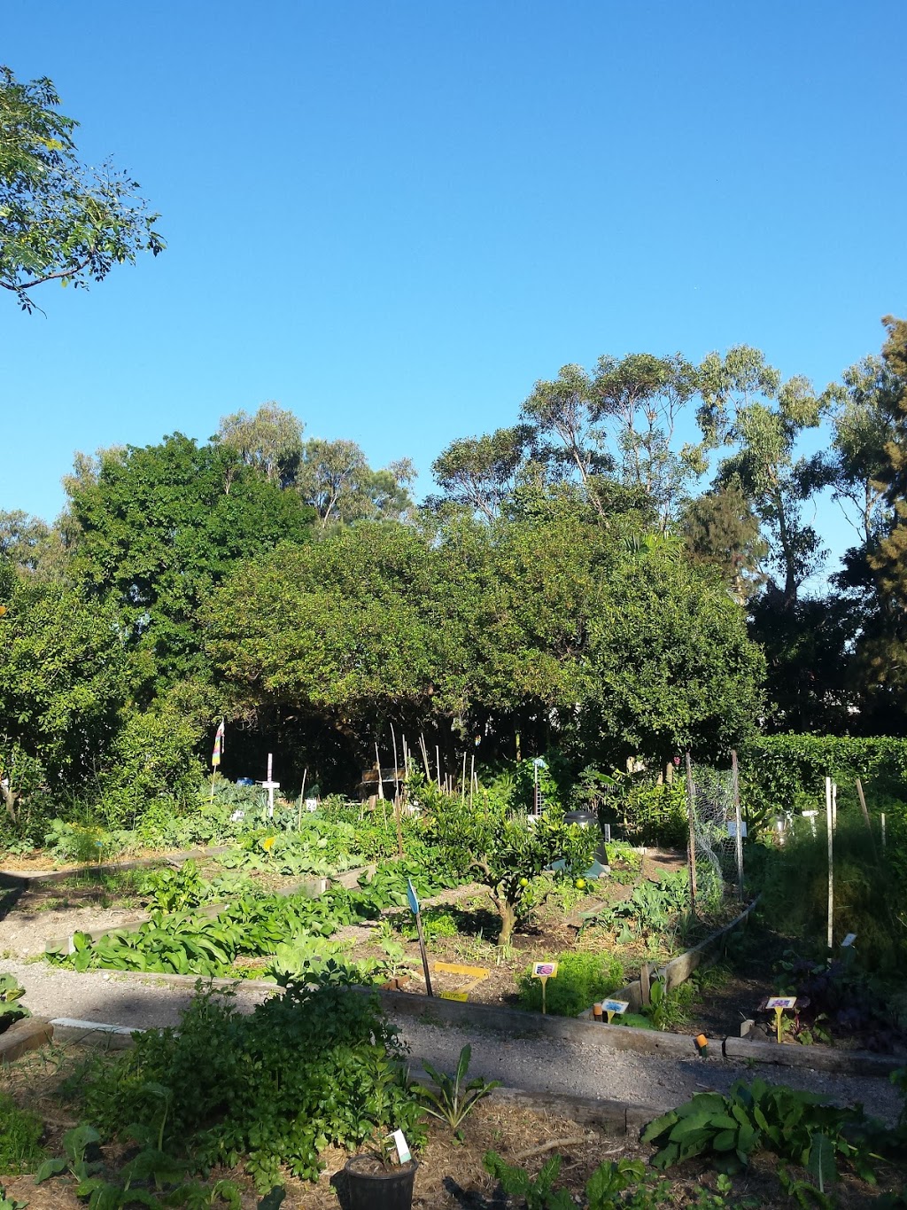 Habitat in Harmony Community Garden | park | 359 Pacific Hwy enter via, Old Belmont Rd, Belmont North NSW 2280, Australia | 0249470031 OR +61 2 4947 0031