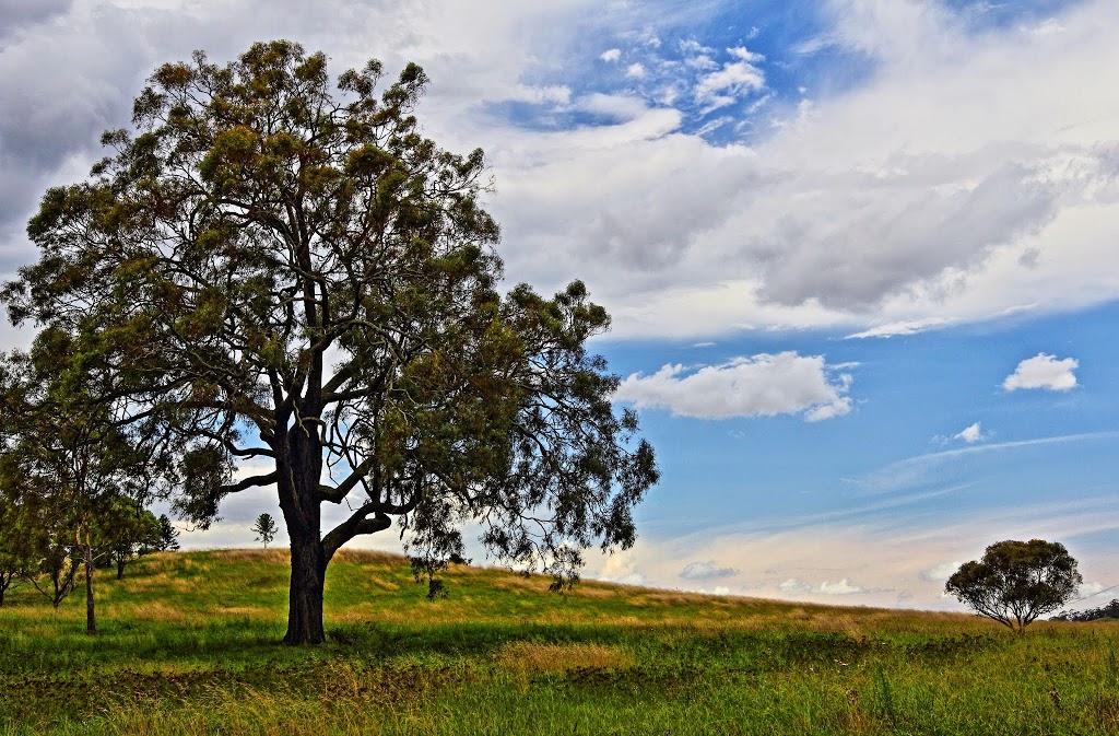 Banksia Garden | park | Caley Dr, Mount Annan NSW 2567, Australia | 0246347900 OR +61 2 4634 7900