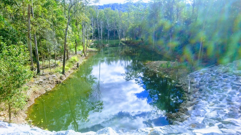 Springbrook Conservation Park | park | Numinbah Valley QLD 4211, Australia