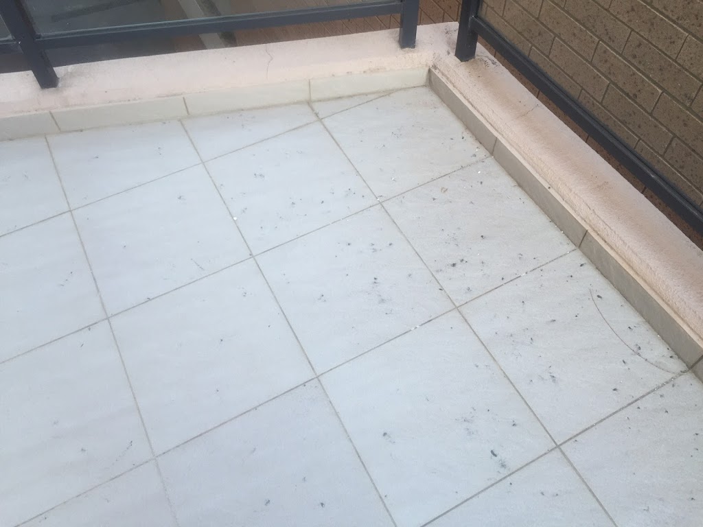 Leaky Shower Repair |  | 7/3 N Bonville Rd, Bonville NSW 2450, Australia | 0280127216 OR +61 2 8012 7216