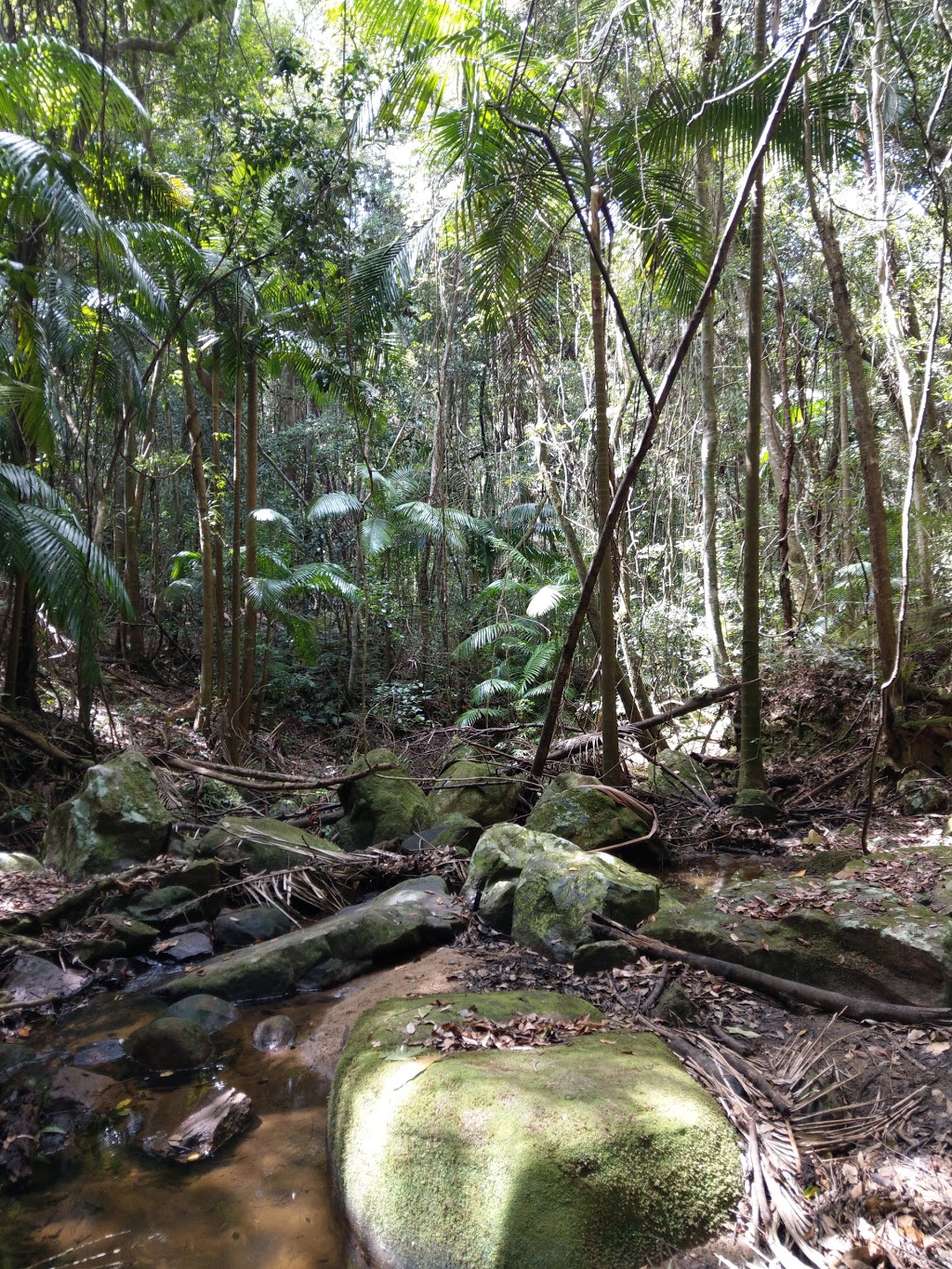 Palm Grove Nature Reserve | park | Somersby NSW 2250, Australia