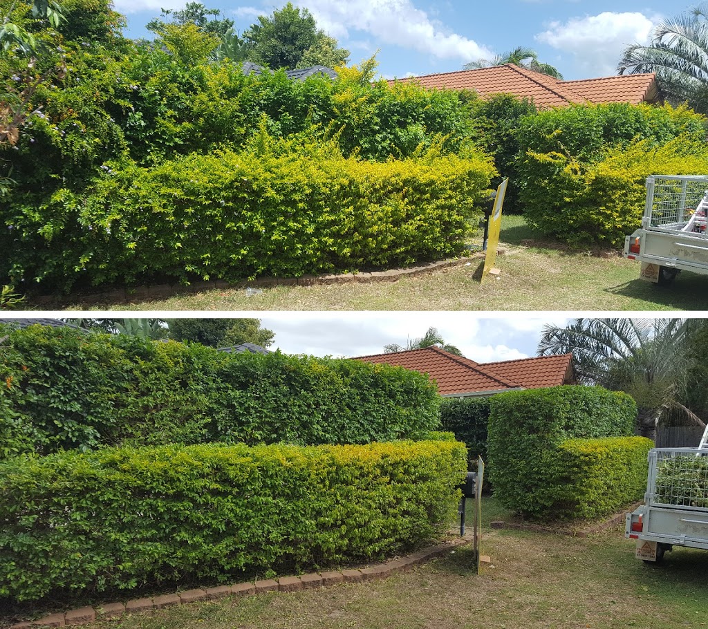 CK Lawn Mowing | 70-78 Elwyn Dr, Veresdale Scrub QLD 4285, Australia | Phone: 0423 088 840