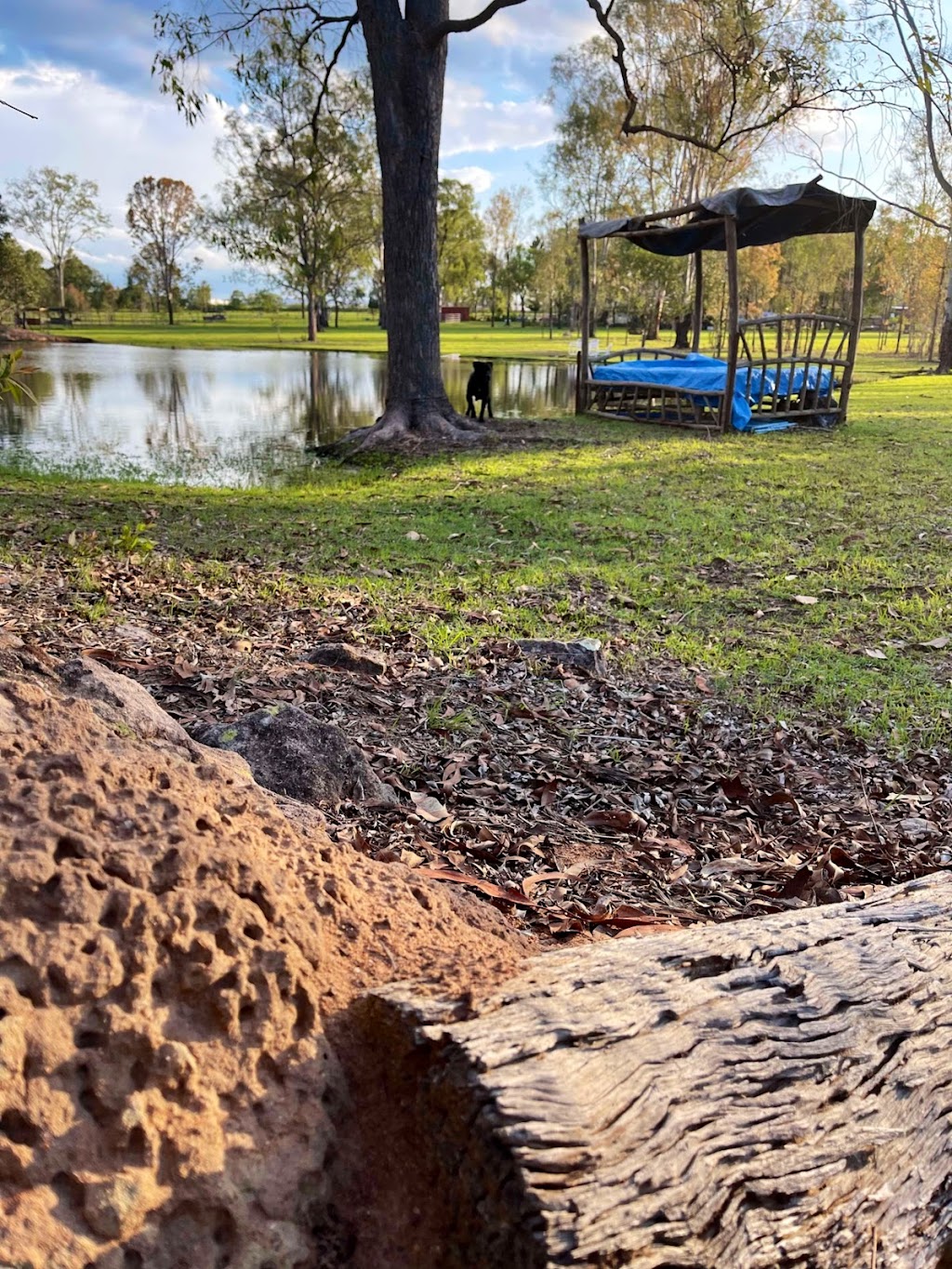 Seehorse Meadows | 39 Jamieson Rd, Churchable QLD 4311, Australia | Phone: 0433 263 783