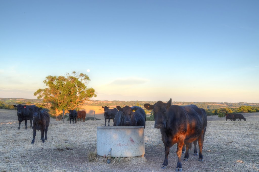 Kyeema Springs Beef | 190 Woodgate Hill Rd, Kyeema SA 5172, Australia | Phone: 0435 830 030