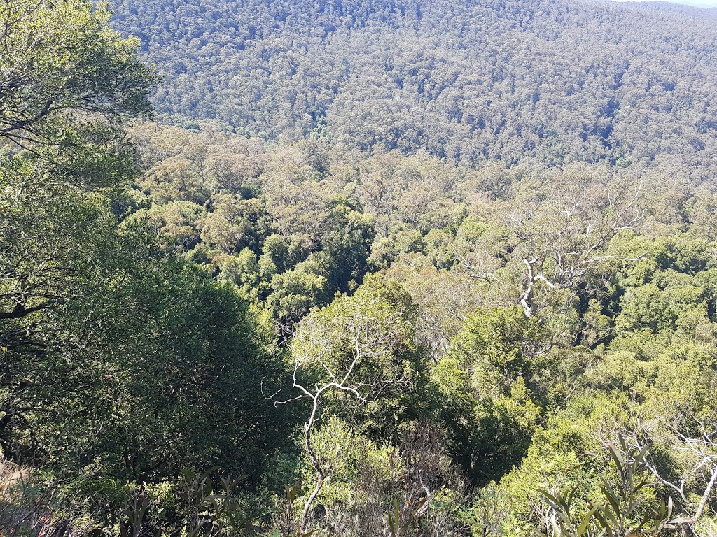 Cunnawarra National Park | Lower Creek NSW 2440, Australia | Phone: 1300 072 757