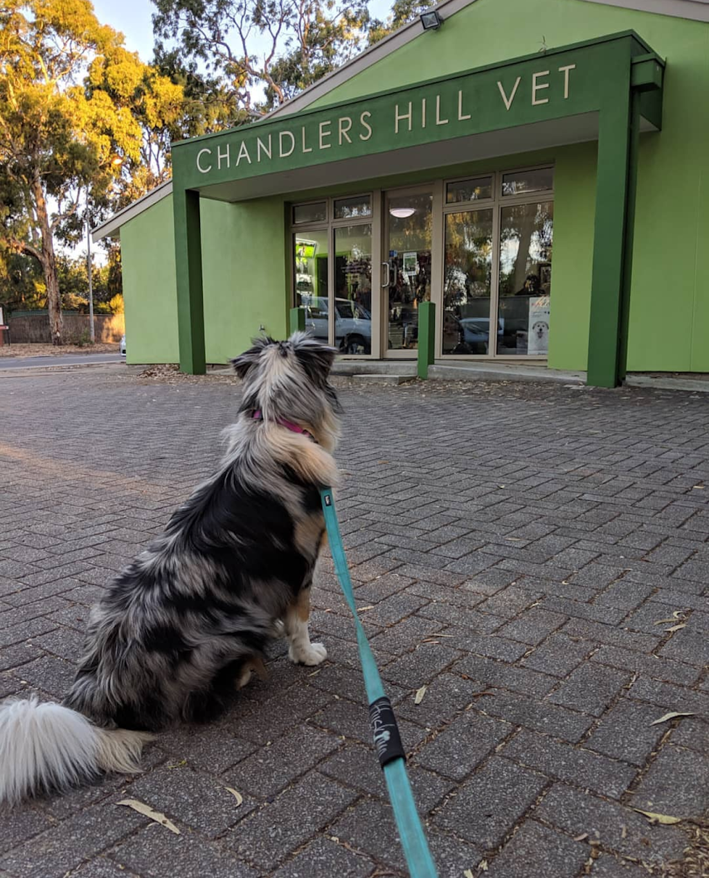 Chandlers Hill Vet | 190 Chandlers Hill Rd, Happy Valley SA 5159, Australia | Phone: (08) 8322 2090