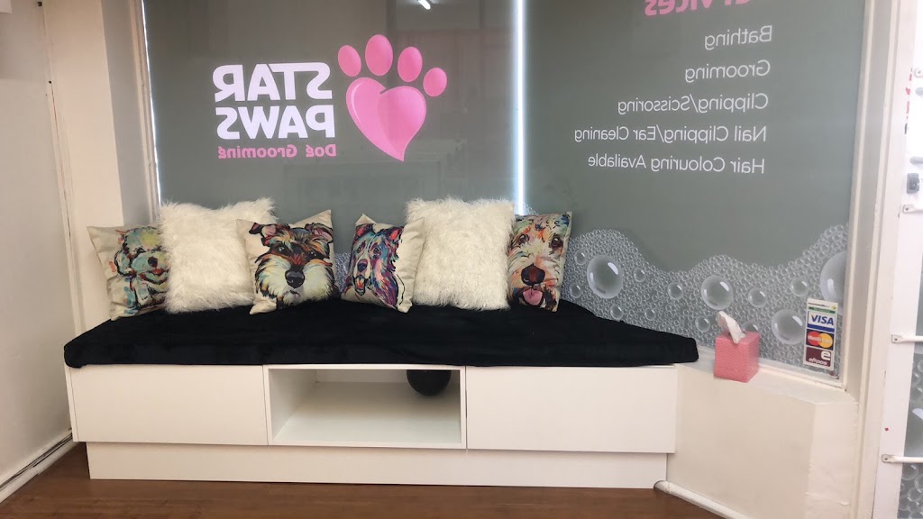 Star Paws Grooming Salon | 4/2 Balfour St, Fairy Meadow NSW 2519, Australia | Phone: 0412 610 256