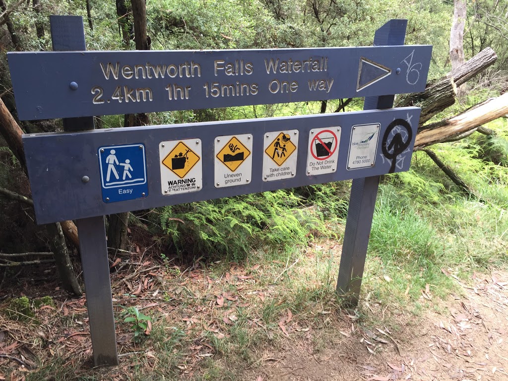 Charles Darwin Walk | park | Darwins Walk, Wentworth Falls NSW 2782, Australia | 1300653408 OR +61 1300 653 408