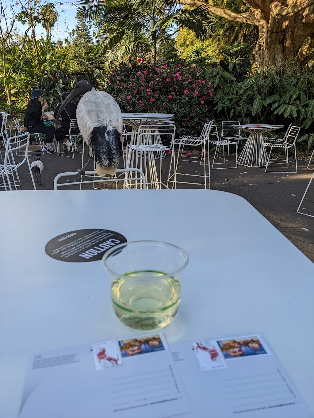Farm Cove Eatery | Mrs Macquaries Rd, Sydney NSW 2000, Australia | Phone: 1300 558 980