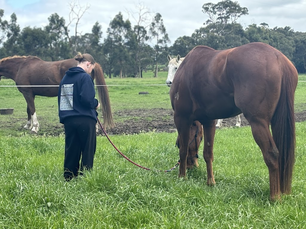 Heartline Equine Therapy and Counselling | 272 Warragul-Lardner Rd, Warragul VIC 3820, Australia | Phone: 0408 984 493