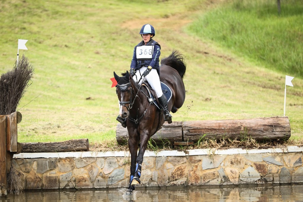 Taliana Equestrian | 296 Singleton Rd, Wilberforce NSW 2756, Australia | Phone: 0423 493 687