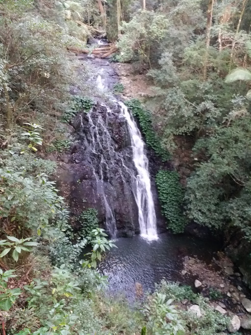 Brushbox Falls Look Out | park | Unnamed Rd,, Border Ranges NSW 2474, Australia