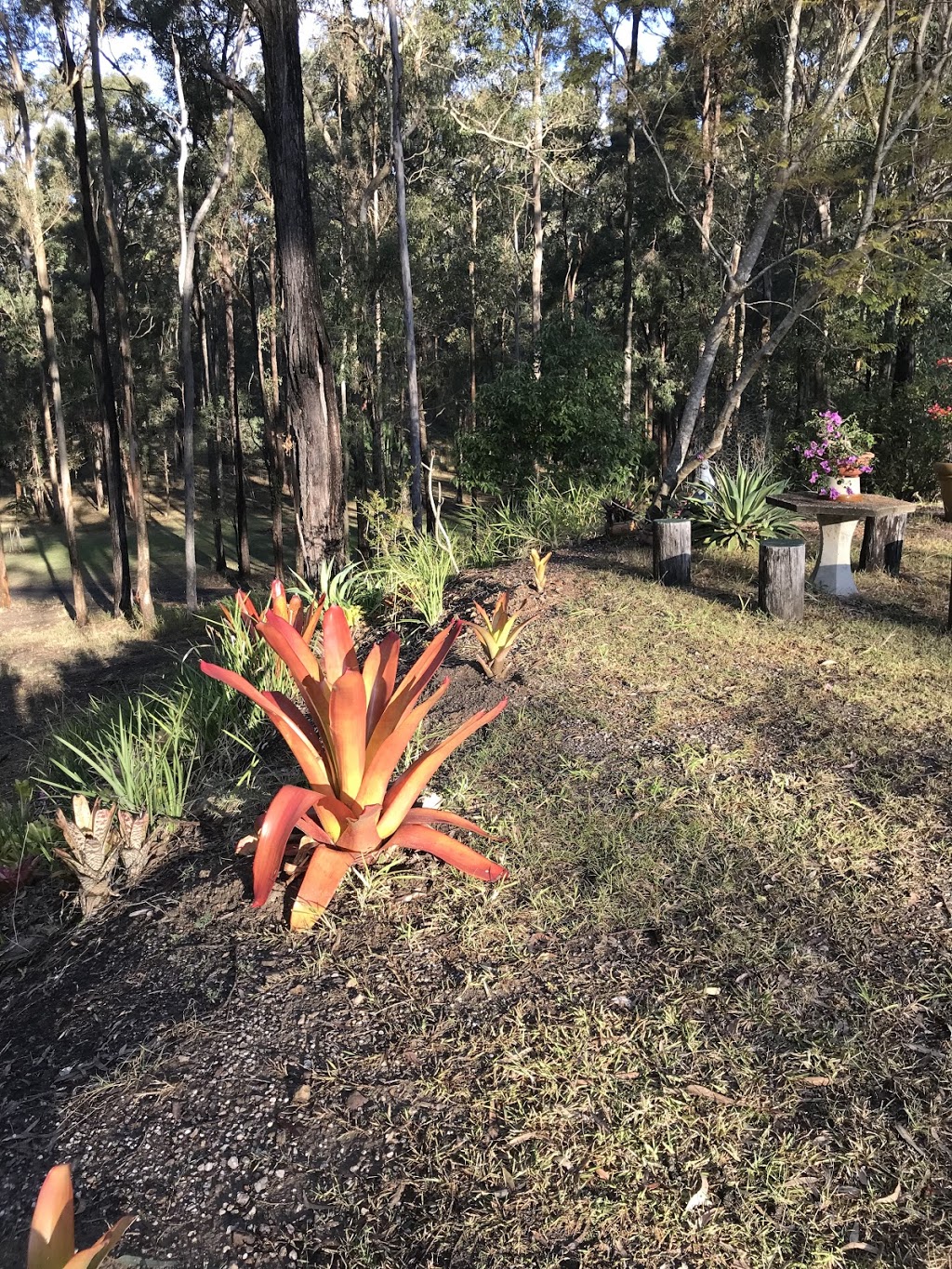 Springwood Meditation Centre 春木禪修渡假中心 | restaurant | 223 Dennis Rd, Springwood QLD 4127, Australia | 0955955488 OR +886 955 955 488