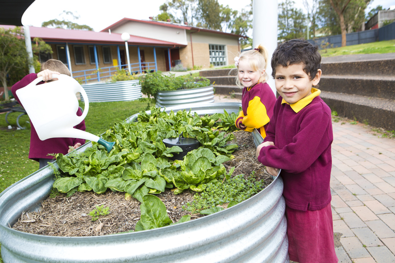 St Pius X Primary School | school | 12 Lake St, Windale NSW 2306, Australia | 0249488467 OR +61 2 4948 8467