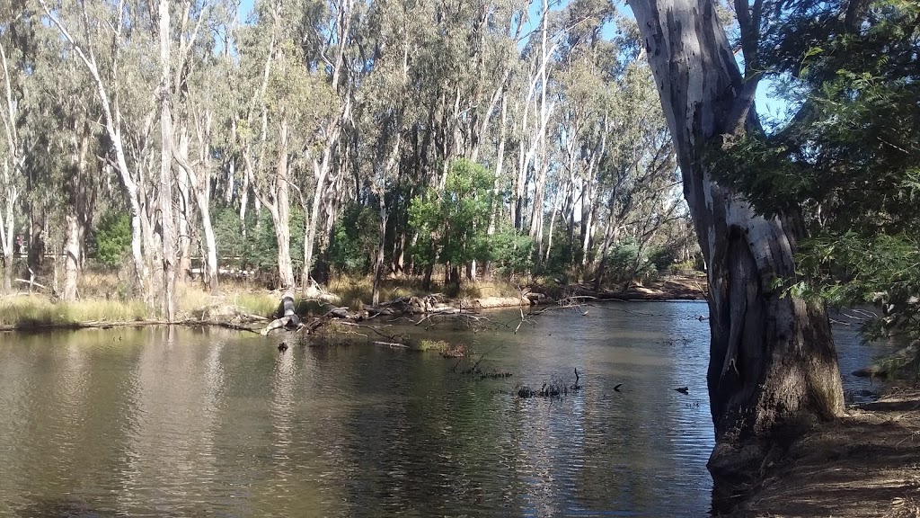 Echuca Recreation Reserve | park | Sutton St, Echuca VIC 3564, Australia