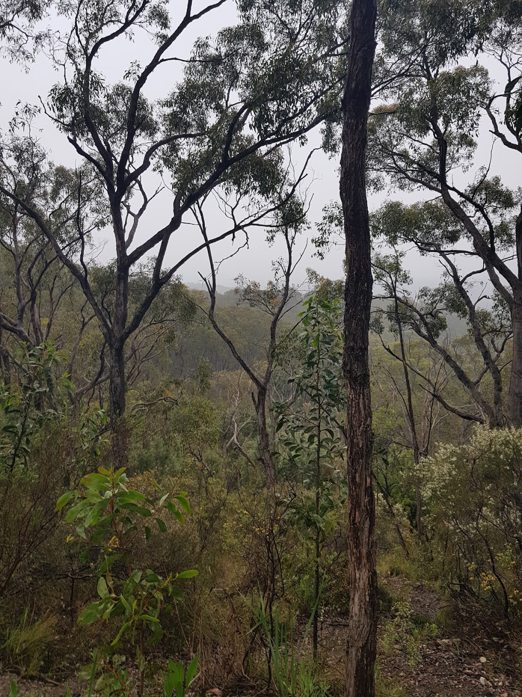 Mark Oliphant Conservation Park trailhead | 178 Scott Creek Rd, Heathfield SA 5153, Australia