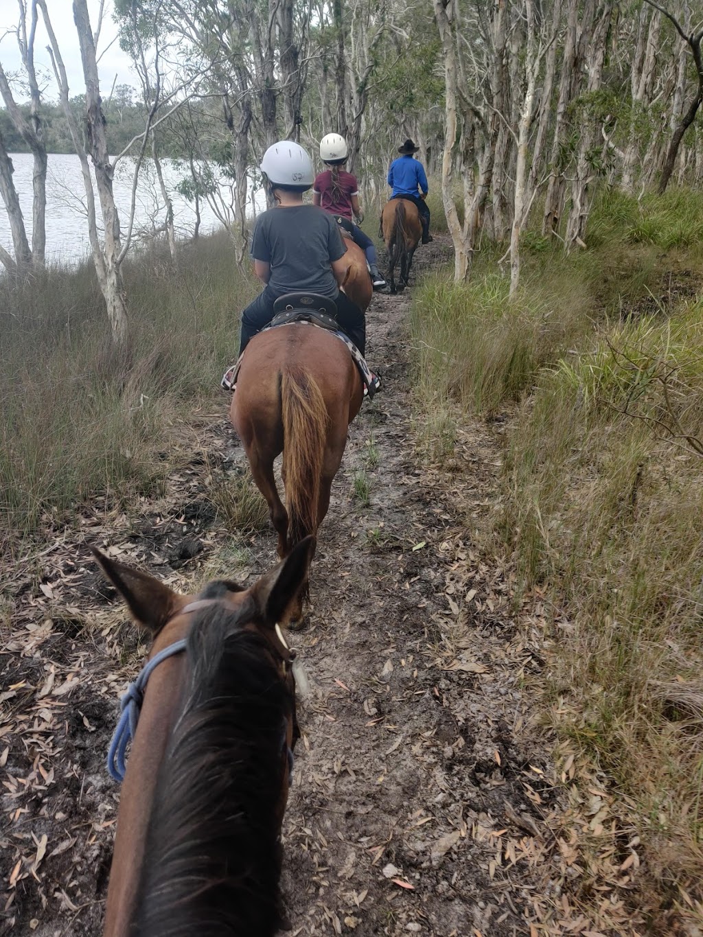 Slickers Horse Riding | 116 Dunlop Ln, Kurwongbah QLD 4503, Australia | Phone: (07) 3285 1444