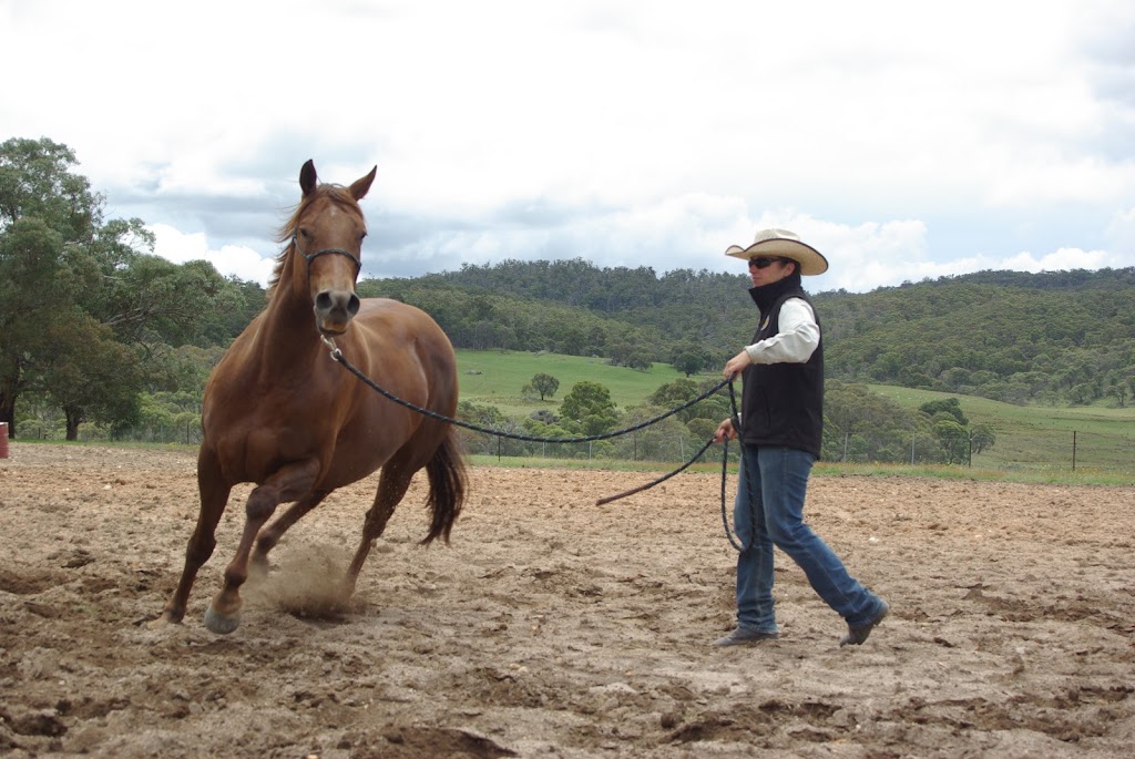 Cherry Tree Equine | 397 Greenhills Rd, Jerangle NSW 2630, Australia | Phone: 0413 609 880