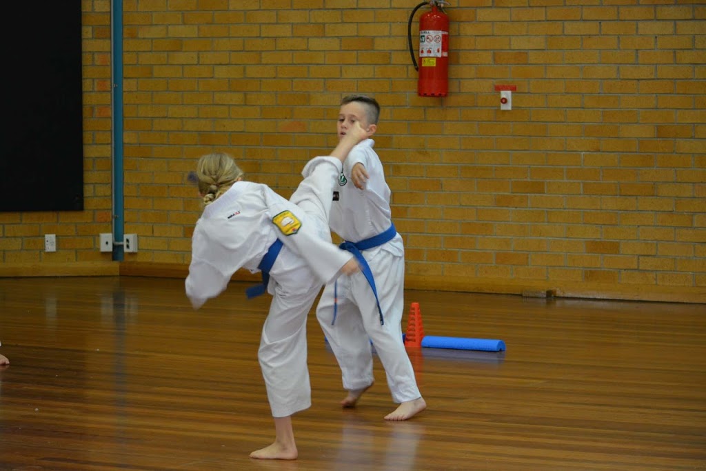 Fit For It Taekwondo Academy | 173 Manilla Rd, Oxley Vale NSW 2340, Australia | Phone: 0427 907 646