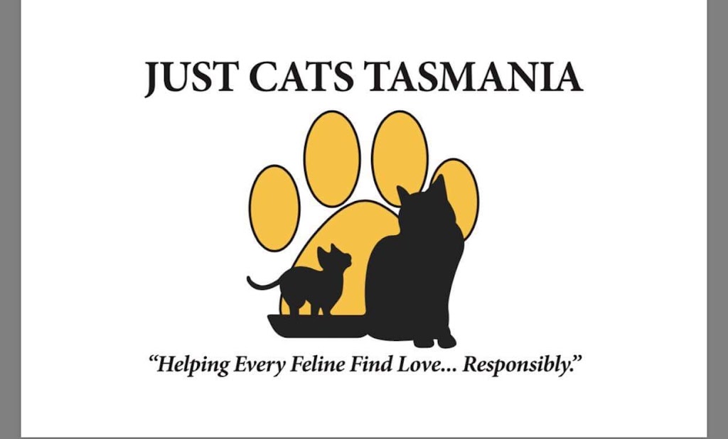 Just CATS Tasmania Mowbray | 20 Cavalry Rd, Mowbray TAS 7248, Australia | Phone: (03) 6388 9202