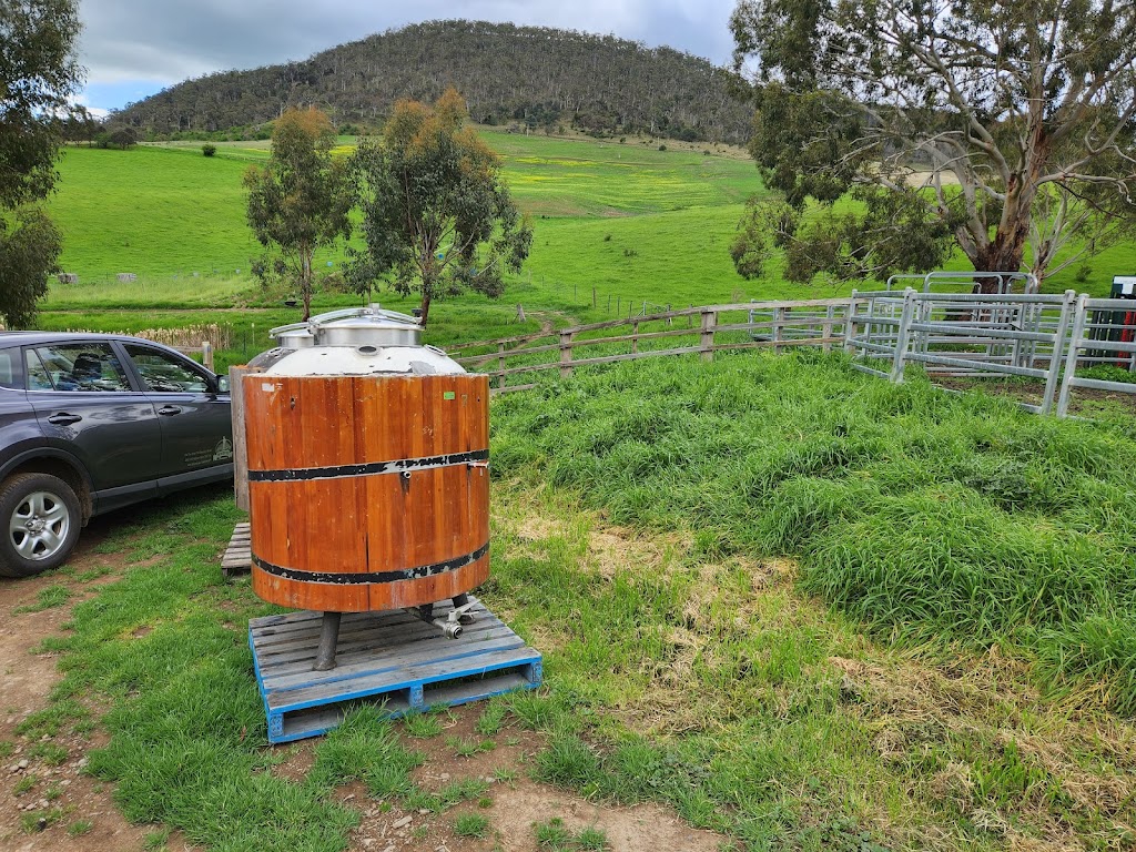Two Metre Tall Farmhouse Ale & Cider | 2862 Lyell Hwy, Hayes TAS 7140, Australia | Phone: 0400 969 677