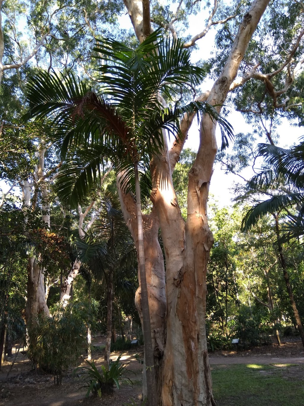 Cooktown Botanic Gardens | park | Cooktown QLD 4895, Australia
